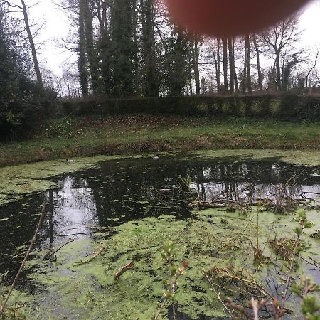 Le Colombier De Royaumont Villa Saint-Arnoult  Luaran gambar