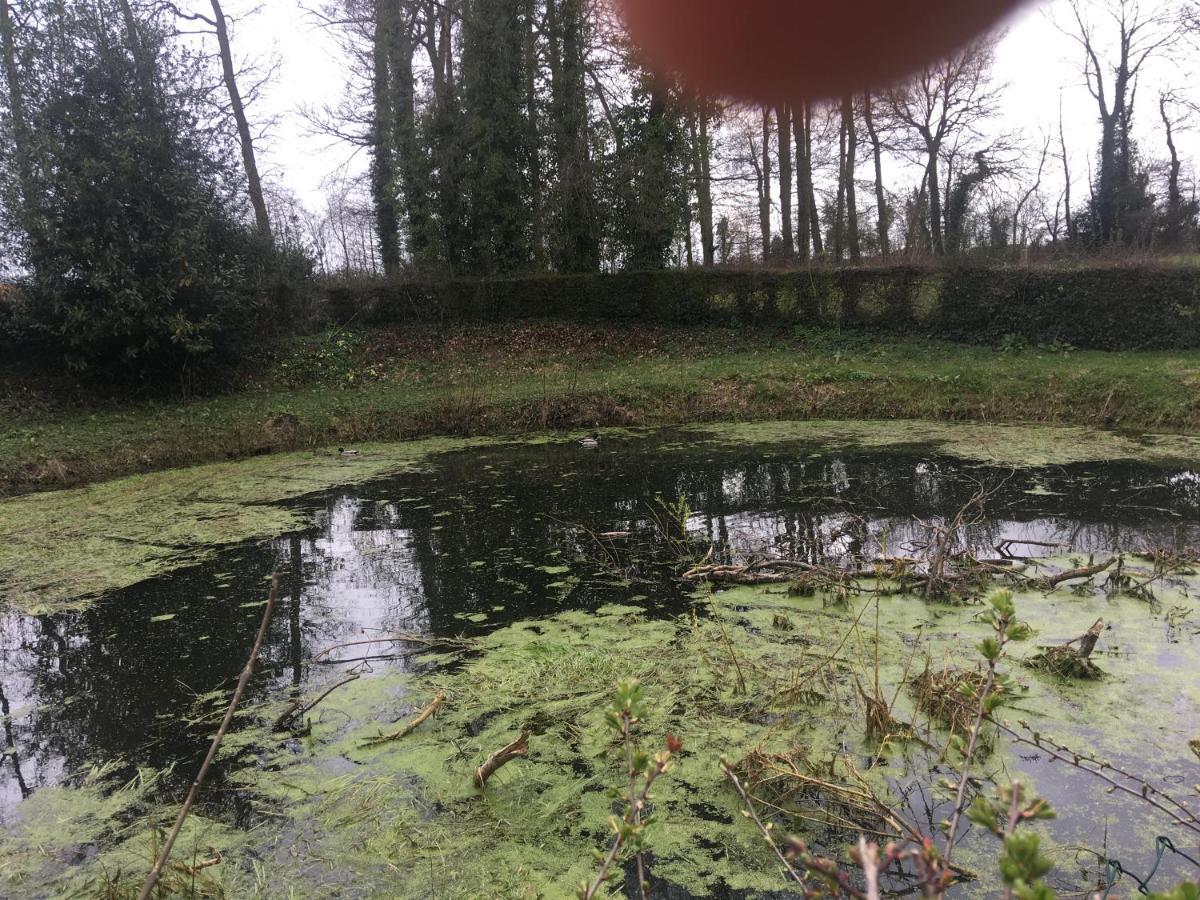Le Colombier De Royaumont Villa Saint-Arnoult  Luaran gambar
